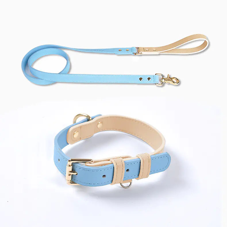Leather Dog Leash & Collar
