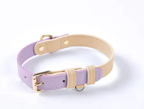 Leather Dog Leash & Collar