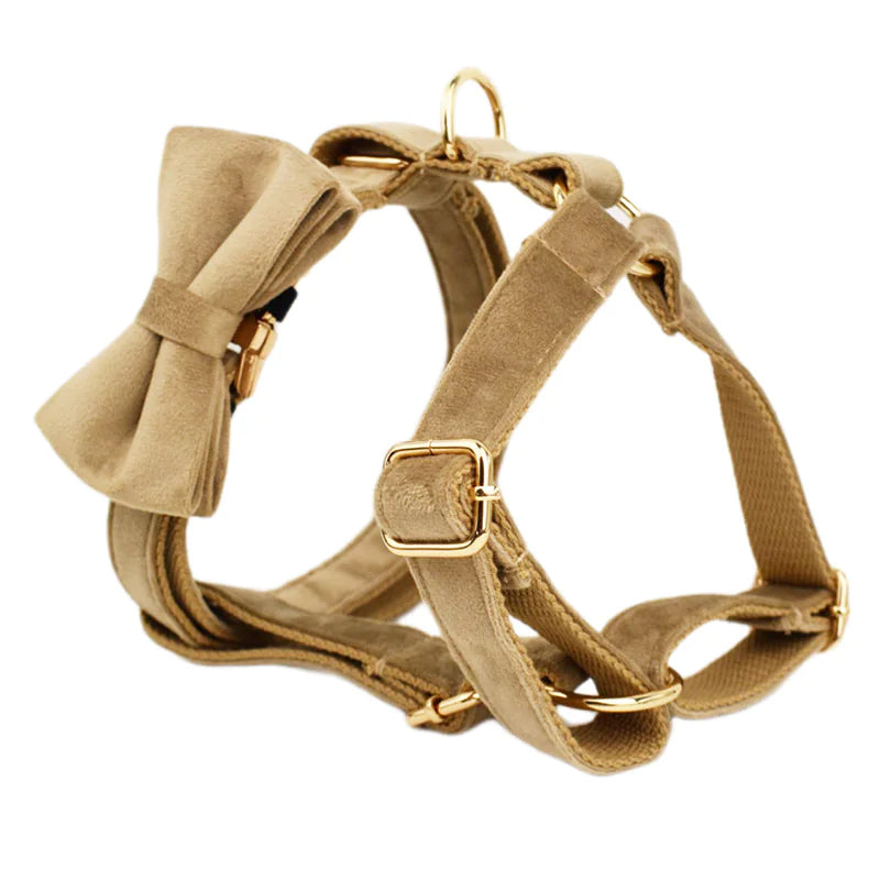 Dreamy Adjustable Pet Wear Set