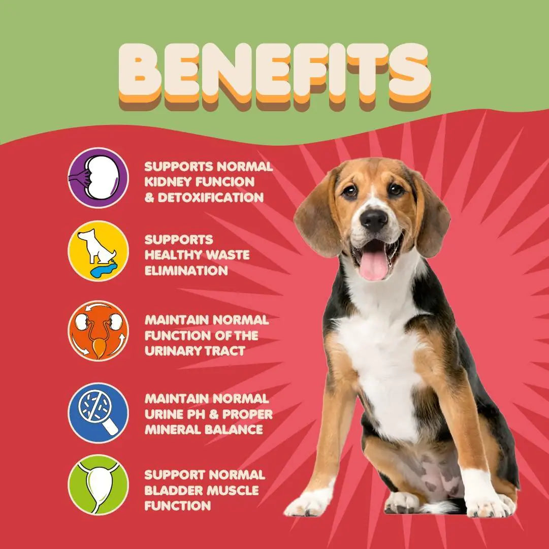 Advanced Dog Cranberry Supplement – Supports Urinary Tract & Kidney Health