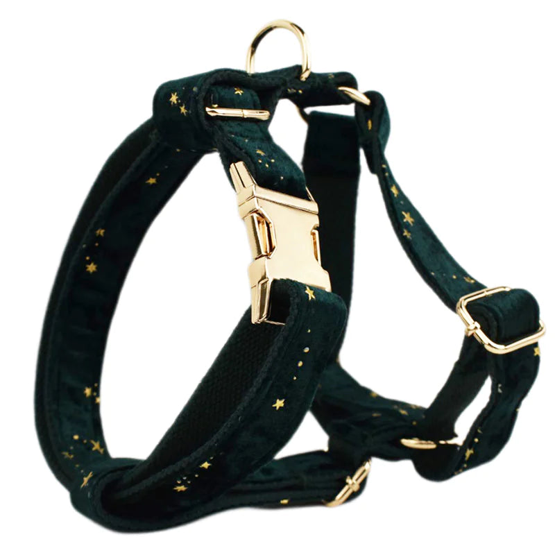 Dreamy Adjustable Pet Wear Set