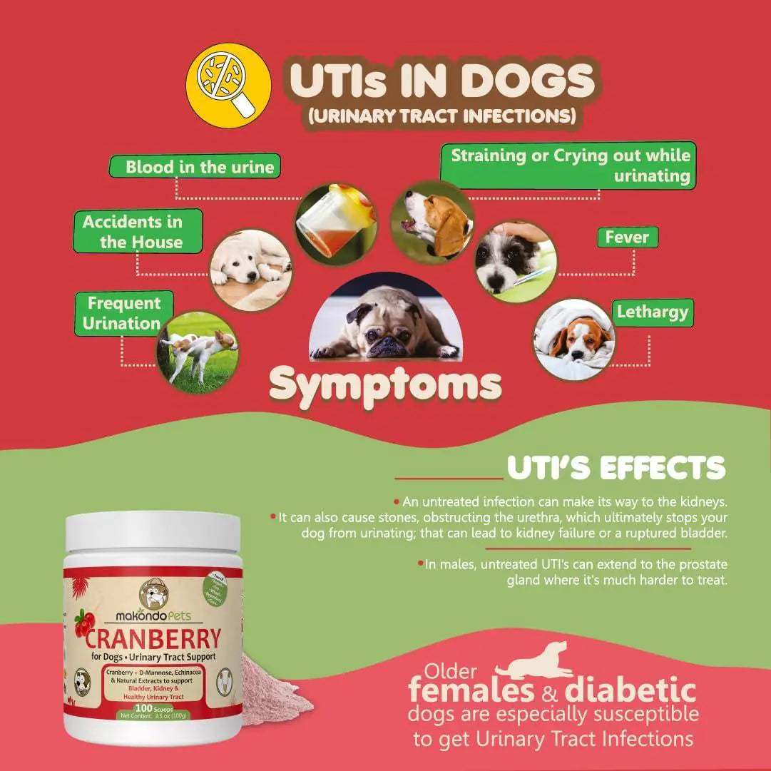 Advanced Dog Cranberry Supplement – Supports Urinary Tract & Kidney Health