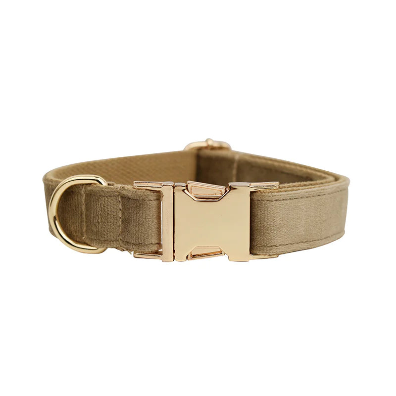 Dreamy Adjustable Pet Wear Set