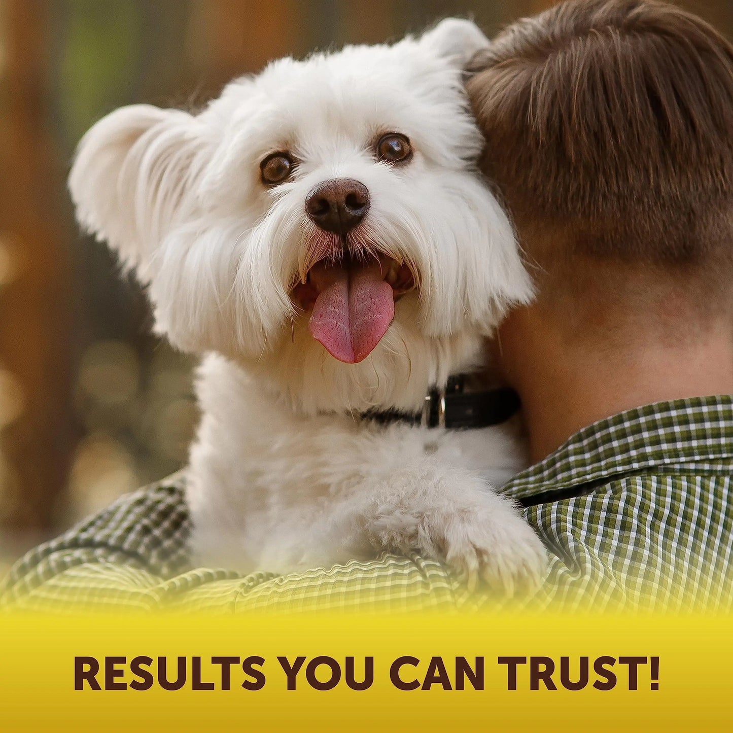 Scoot Stopper Soft Chews – High-Fiber Digestive Support for Dogs | Promotes Healthy Anal Gland Function
