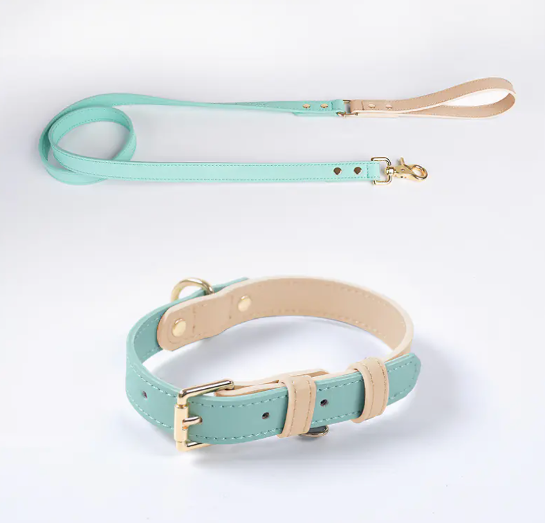 Leather Dog Leash & Collar
