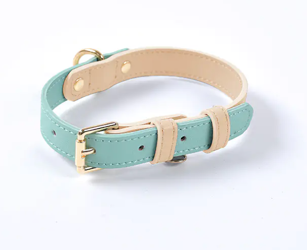 Leather Dog Leash & Collar