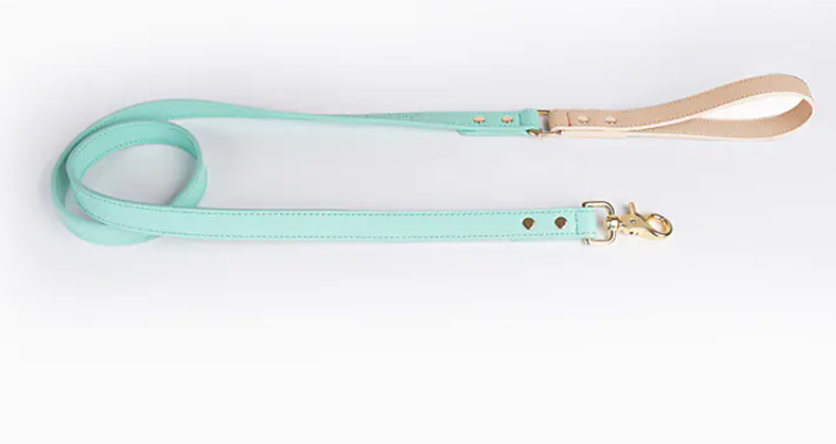 Leather Dog Leash & Collar