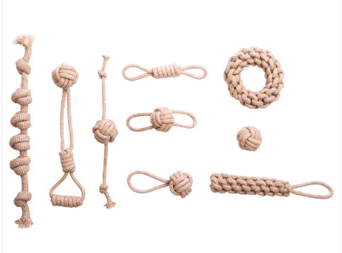 CleanPaw Dental Toy – Durable Chew for Healthy Teeth & Gums