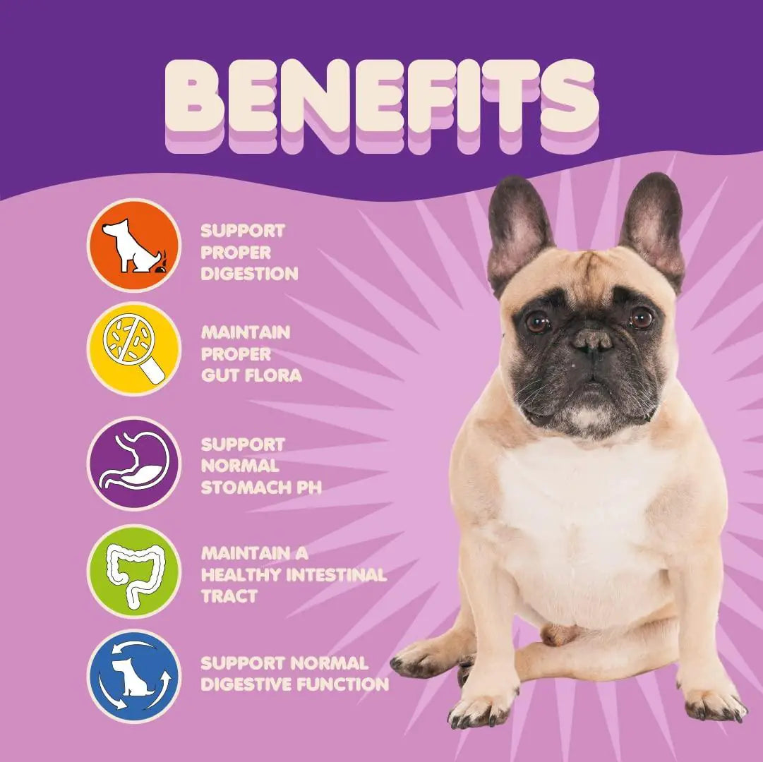 High-Potency Probiotics for Dogs & Puppies – 9-Strain Formula with 5 Billion CFU per Scoop