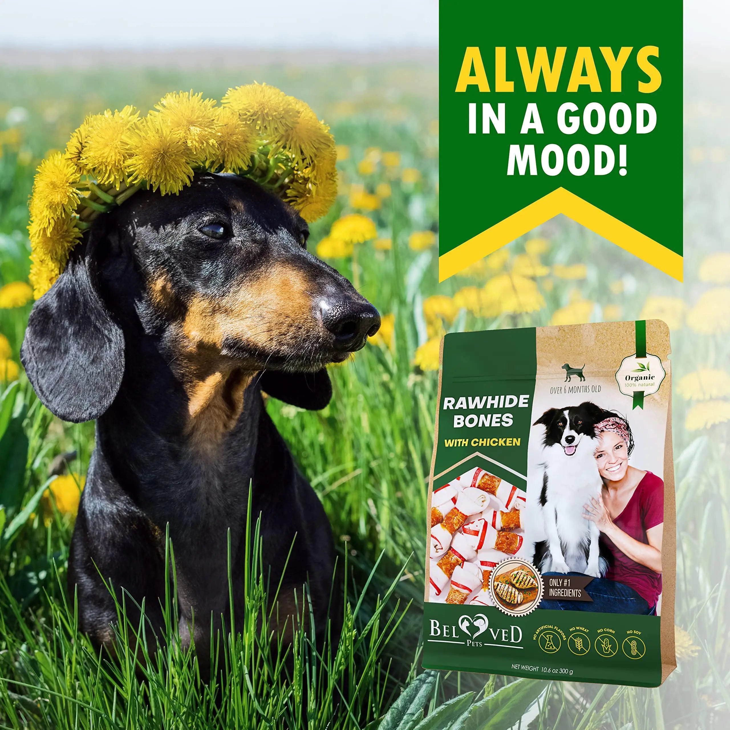 Gourmet Chicken-Wrapped Rawhide Sticks – Natural Chew Snacks for Dogs | Grain-Free