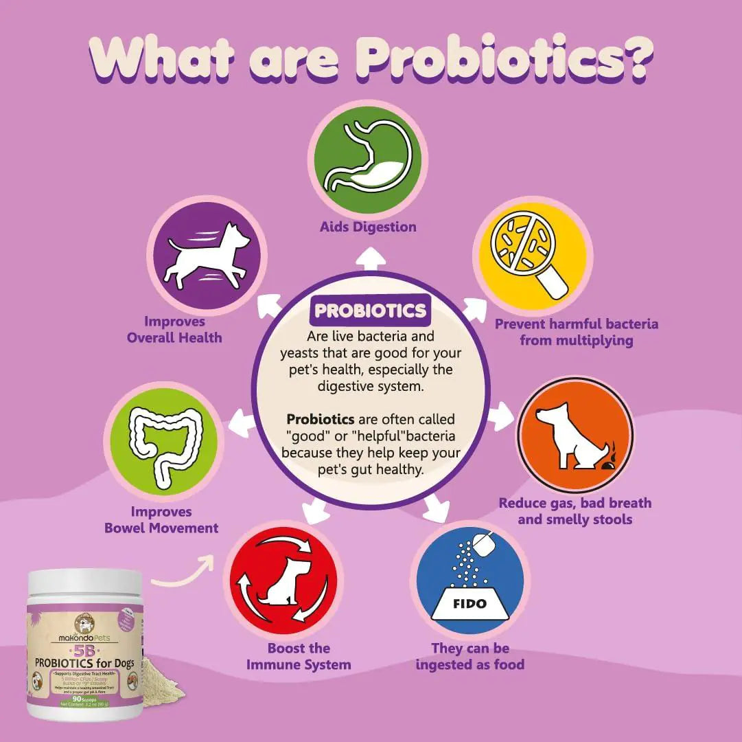 High-Potency Probiotics for Dogs & Puppies – 9-Strain Formula with 5 Billion CFU per Scoop