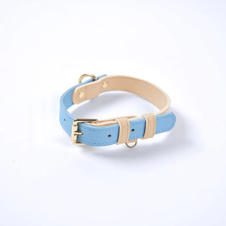 Leather Dog Leash & Collar