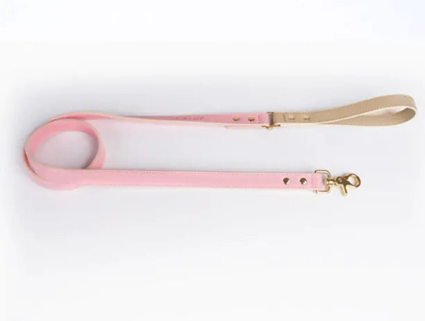 Leather Dog Leash & Collar