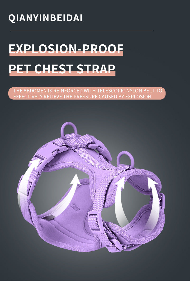 Waterproof Dog Collar & Leash Set – Anti-Bite, Durable PVC Design