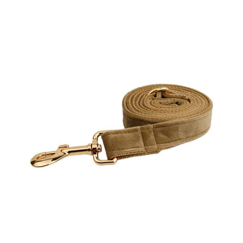 Dreamy Adjustable Pet Wear Set