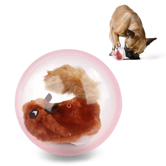 Electric Toy Ball for Pets