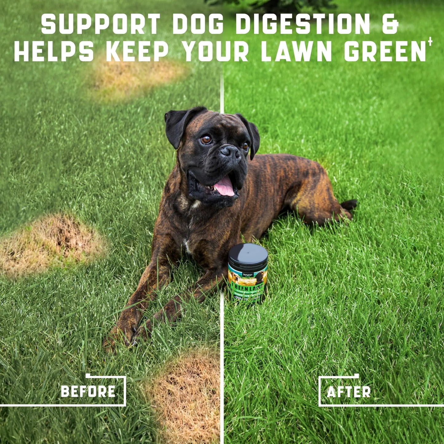 Green Lawn Dog Chews – Cranberry & Apple Cider Vinegar Digestive Enzymes for Urine Health
