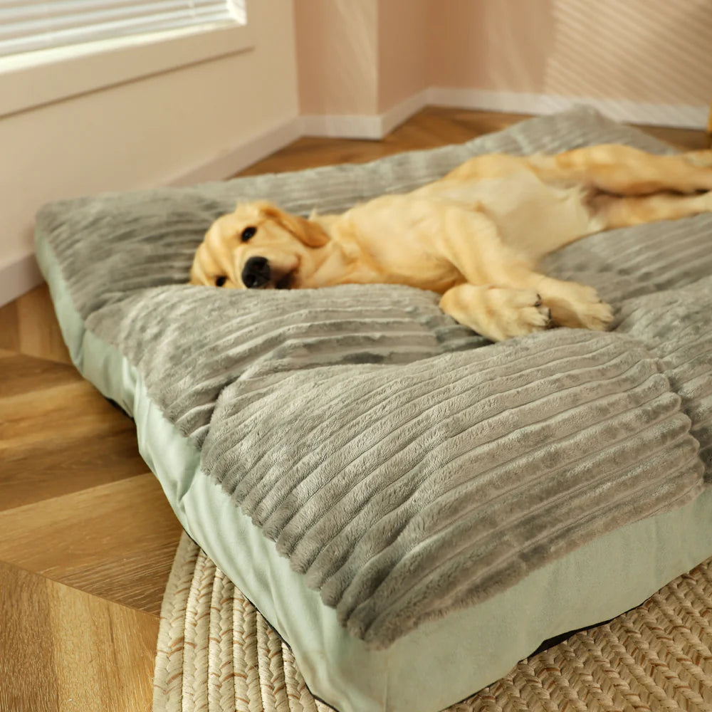 EasyClean Comfort Pet Beds & Mats