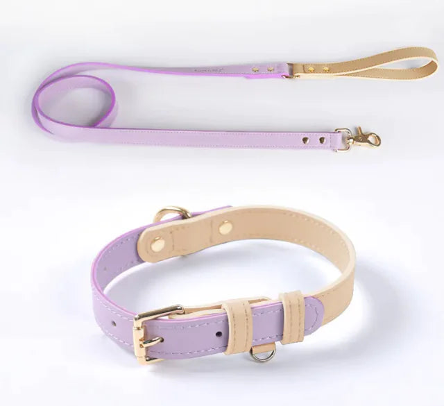Leather Dog Leash & Collar