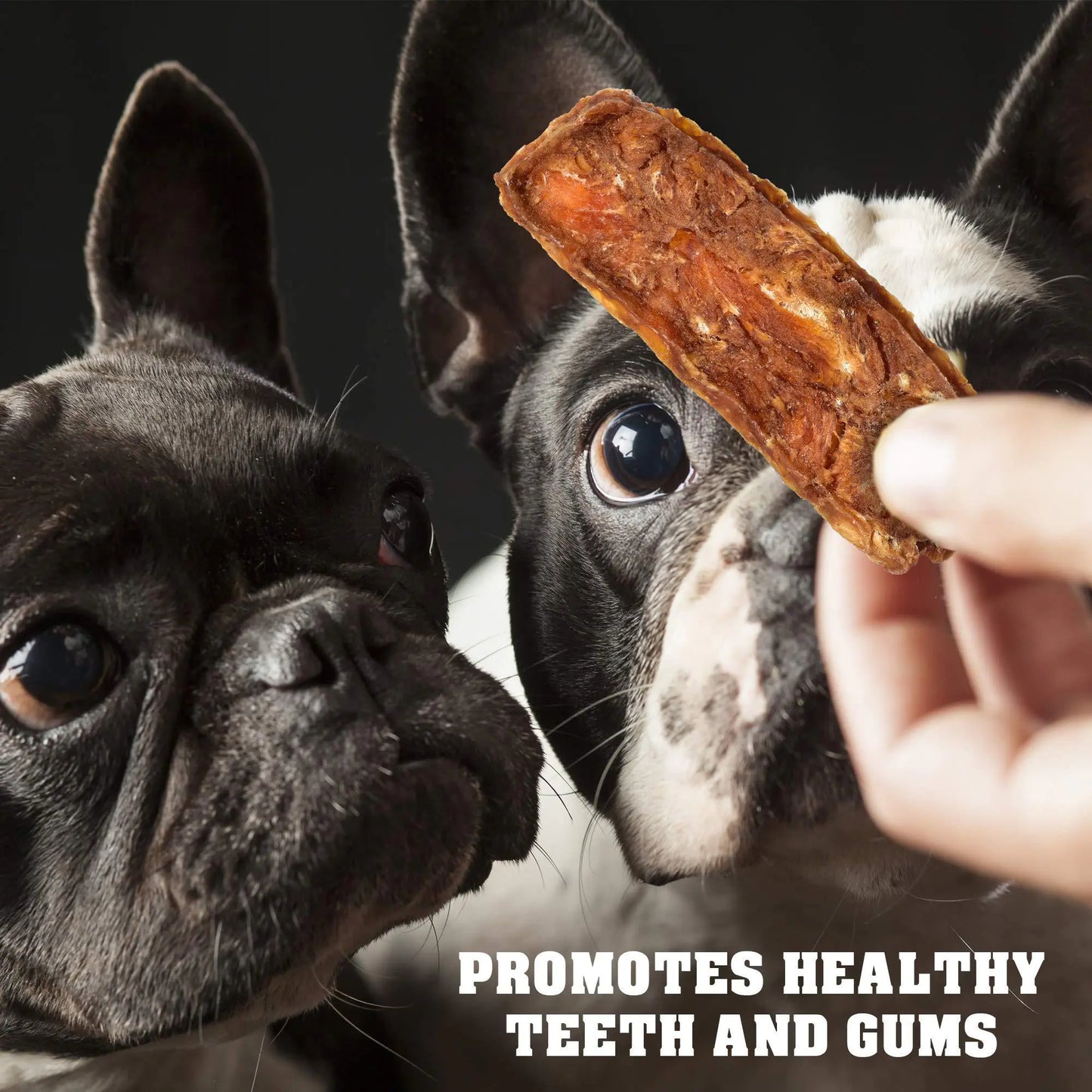 Belved Chicken Jerky Dog Treats – Human-Grade, Grain-Free, 1.5 lb