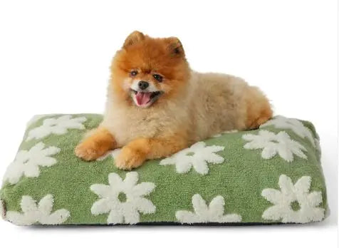 CloudRest Luxe Pet Bed – Shredded Foam Orthopedic Comfort