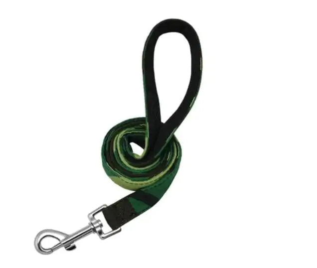 Nylon Leash for Dogs