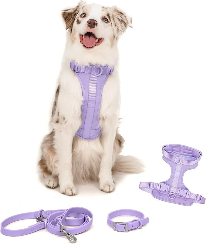 Water Proof Dog Collar & Leash Set – Anti-Bite, Durable PVC Design