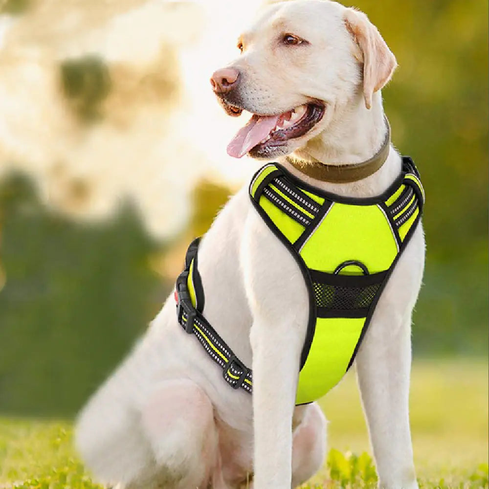 Pet Traction Rope Chest Strap – Durable Polyester Harness