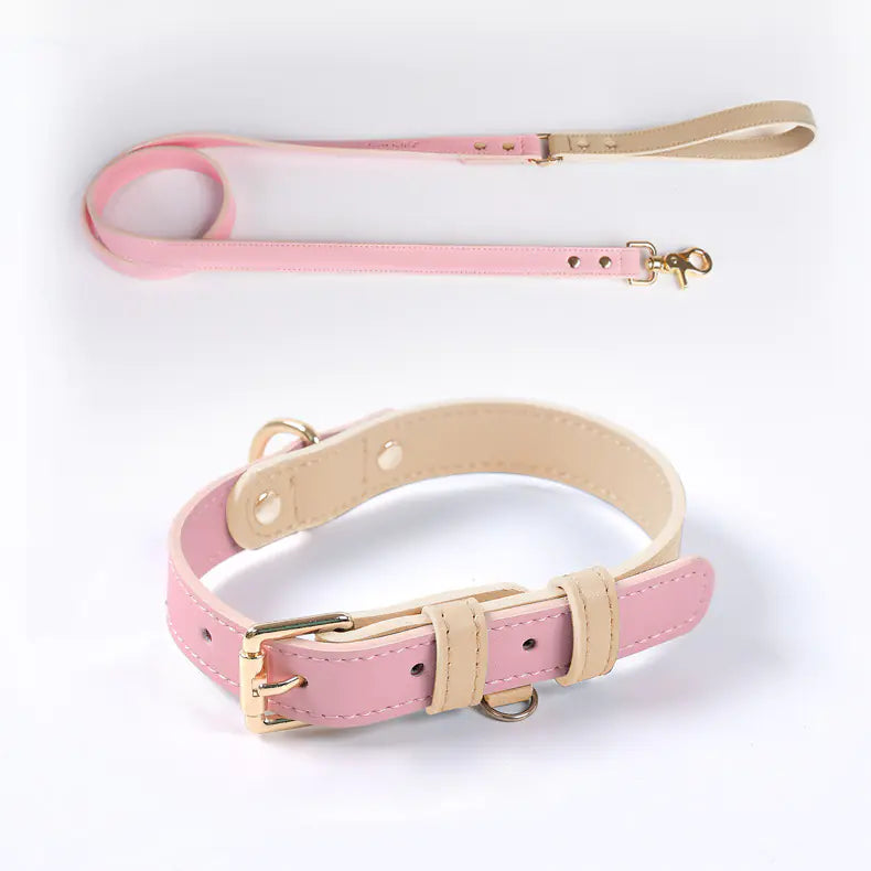 Leather Dog Leash & Collar
