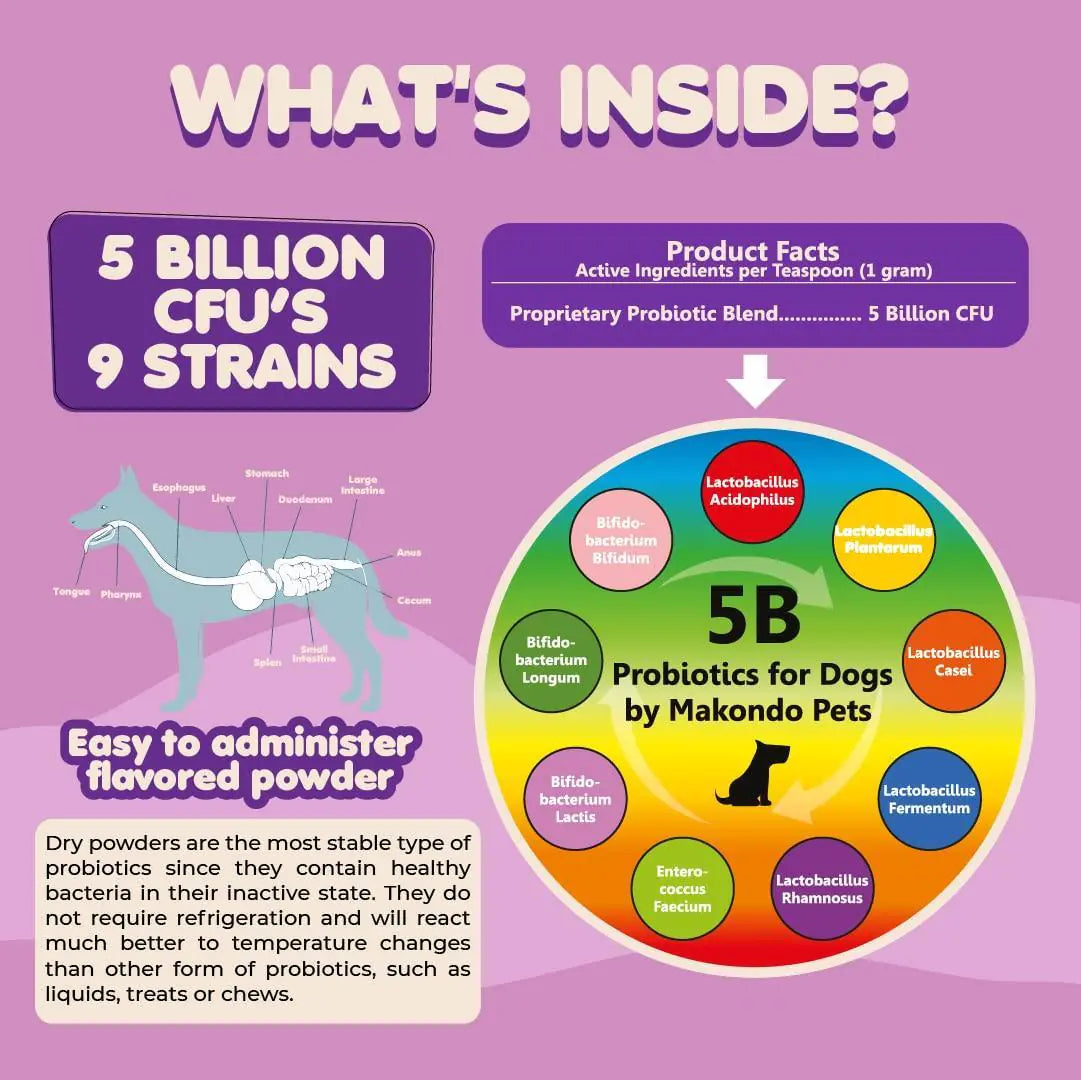High-Potency Probiotics for Dogs & Puppies – 9-Strain Formula with 5 Billion CFU per Scoop