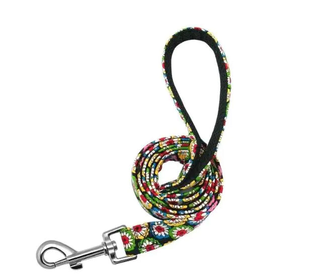 Nylon Leash for Dogs