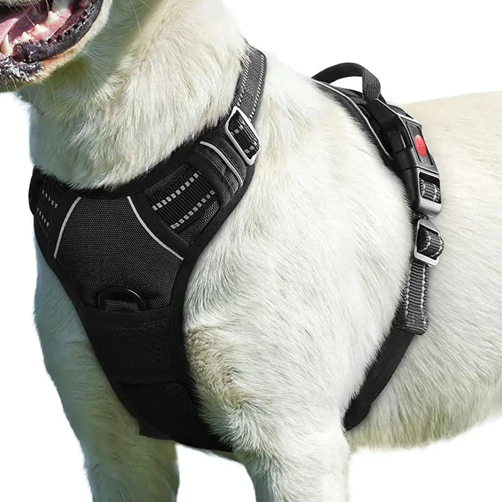 Pet Traction Rope Chest Strap – Durable Polyester Harness