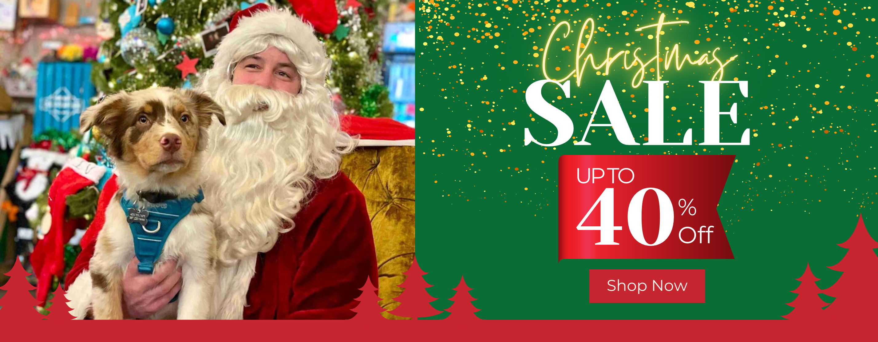 Desktop Slider Image