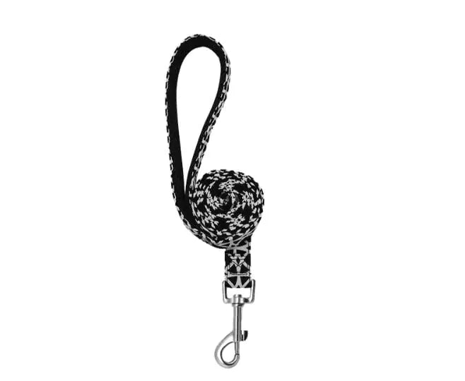 Nylon Leash for Dogs