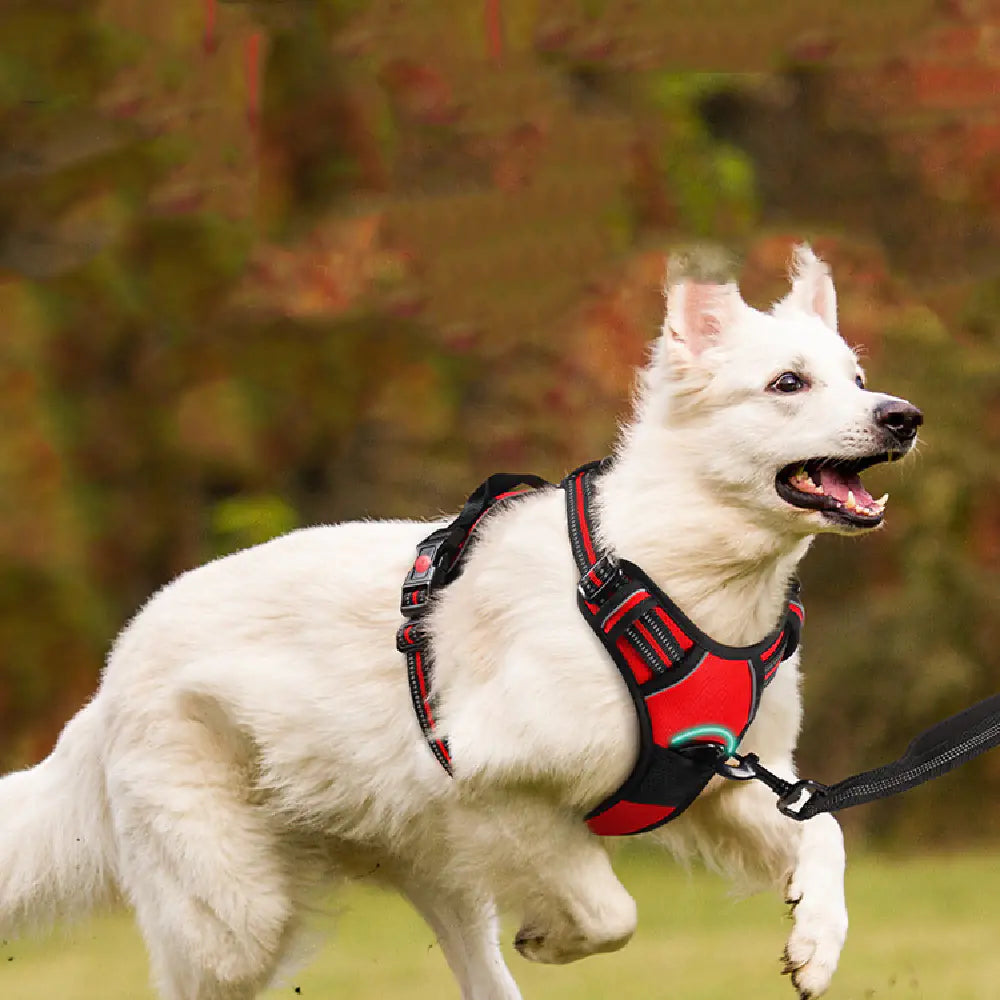 Pet Traction Rope Chest Strap – Durable Polyester Harness