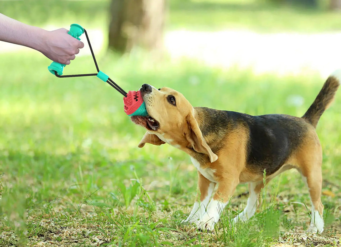 Durable Dog Knot Toy –TPR Chew, Tug & Fetch Training Toy