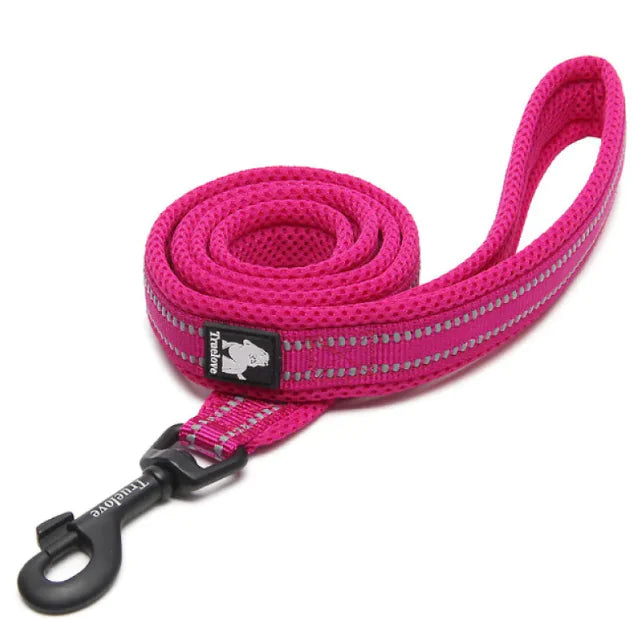 Stretch Nylon Pet Leash