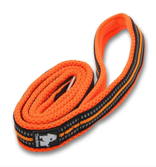 Stretch Nylon Pet Leash