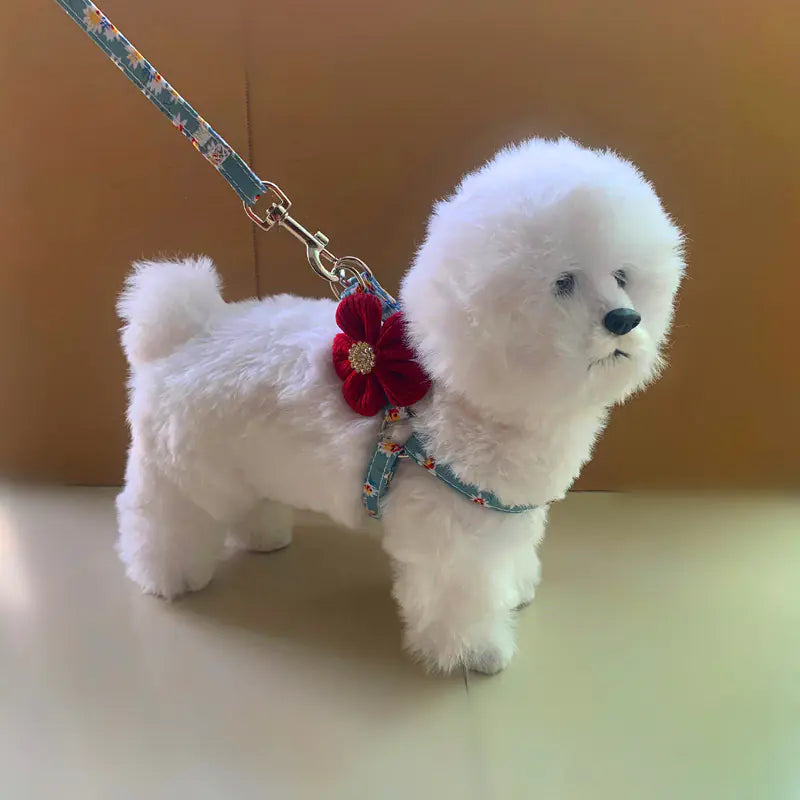 Adjustable Pet Chest Strap & Traction Rope