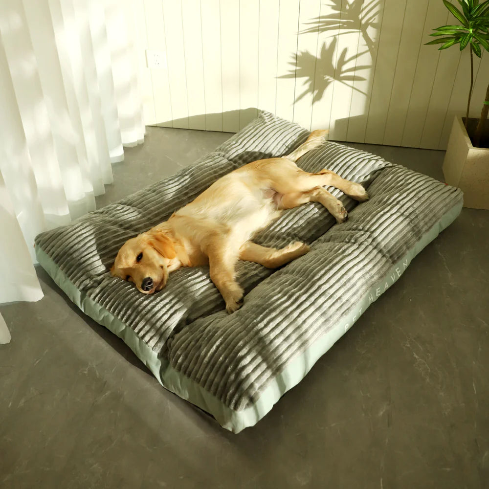EasyClean Comfort Pet Beds & Mats