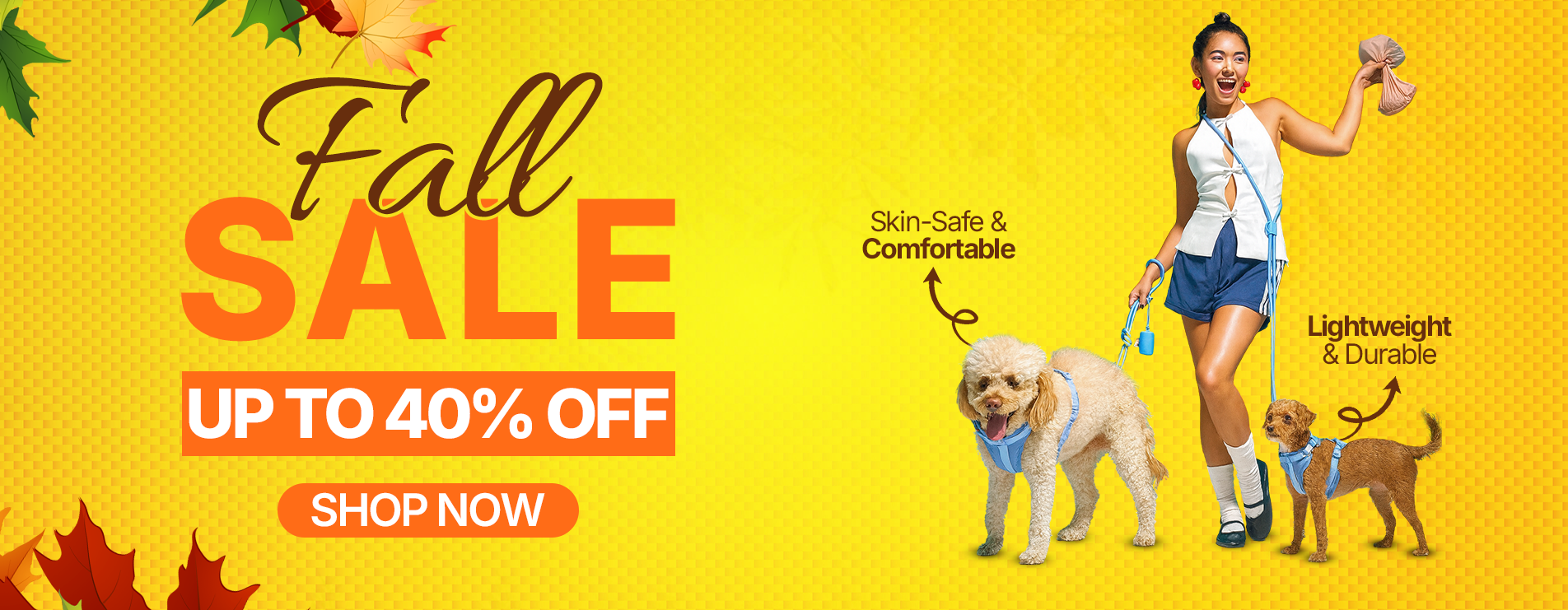 Desktop Slider Image