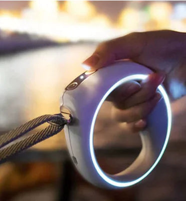 Smart Leash