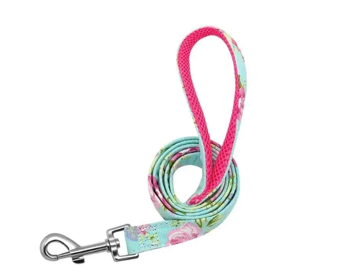 Nylon Leash for Dogs