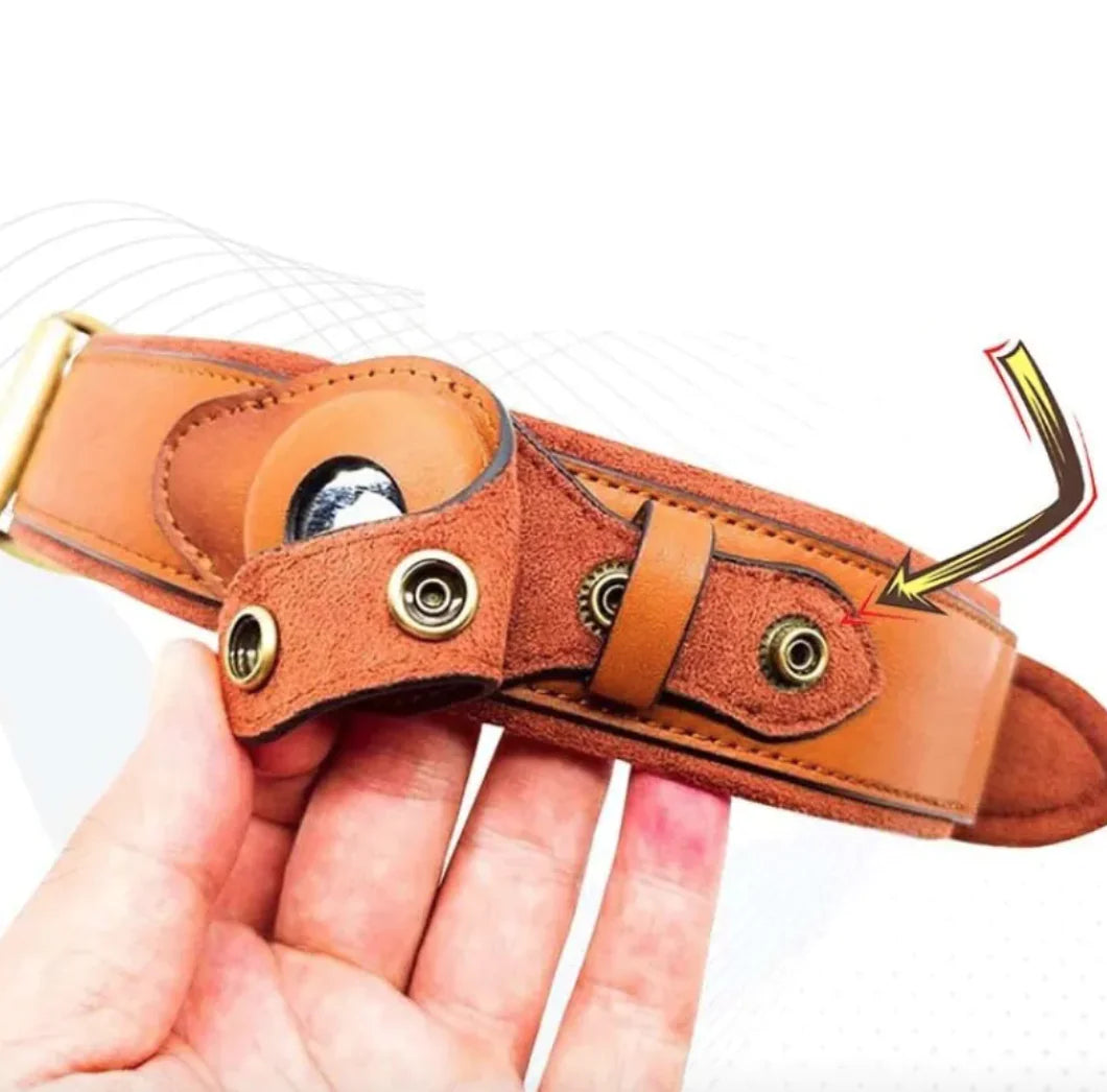 Leather Dog Collar with Location Tracker