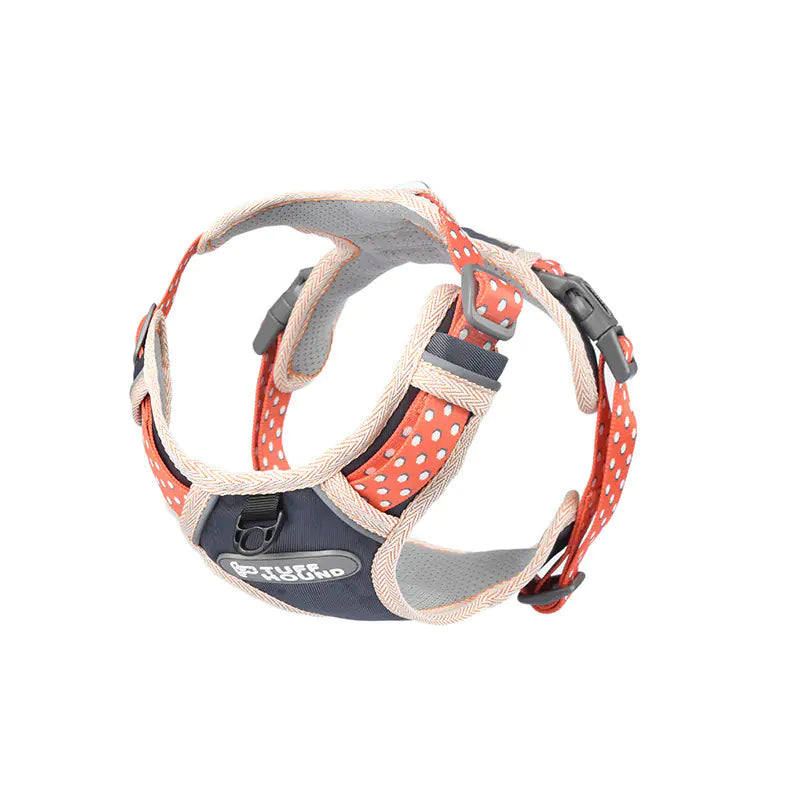 Durable Nylon Harness in Vibrant Colors
