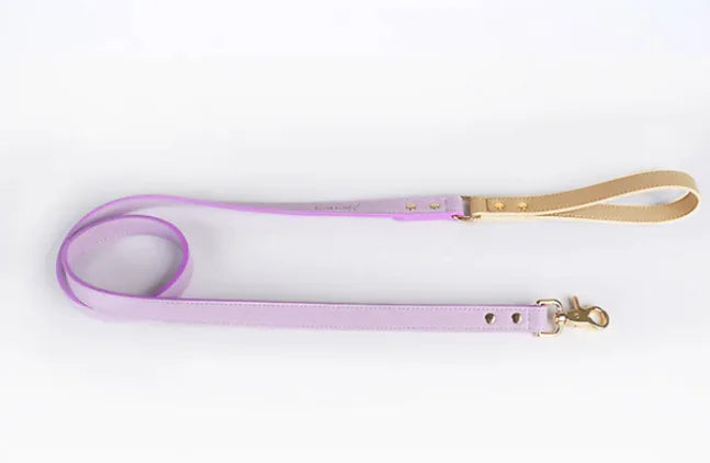Leather Dog Leash & Collar