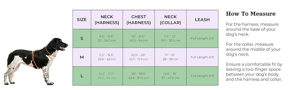 Water Proof Dog Collar & Leash Set – Anti-Bite, Durable PVC Design