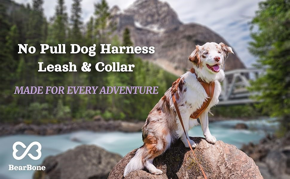 Water Proof Dog Collar & Leash Set – Anti-Bite, Durable PVC Design