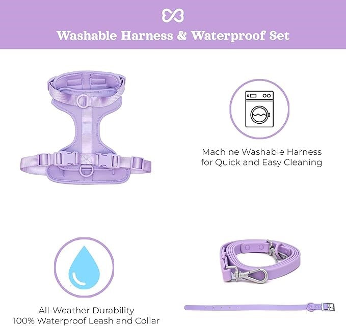 Water Proof Dog Collar & Leash Set – Anti-Bite, Durable PVC Design